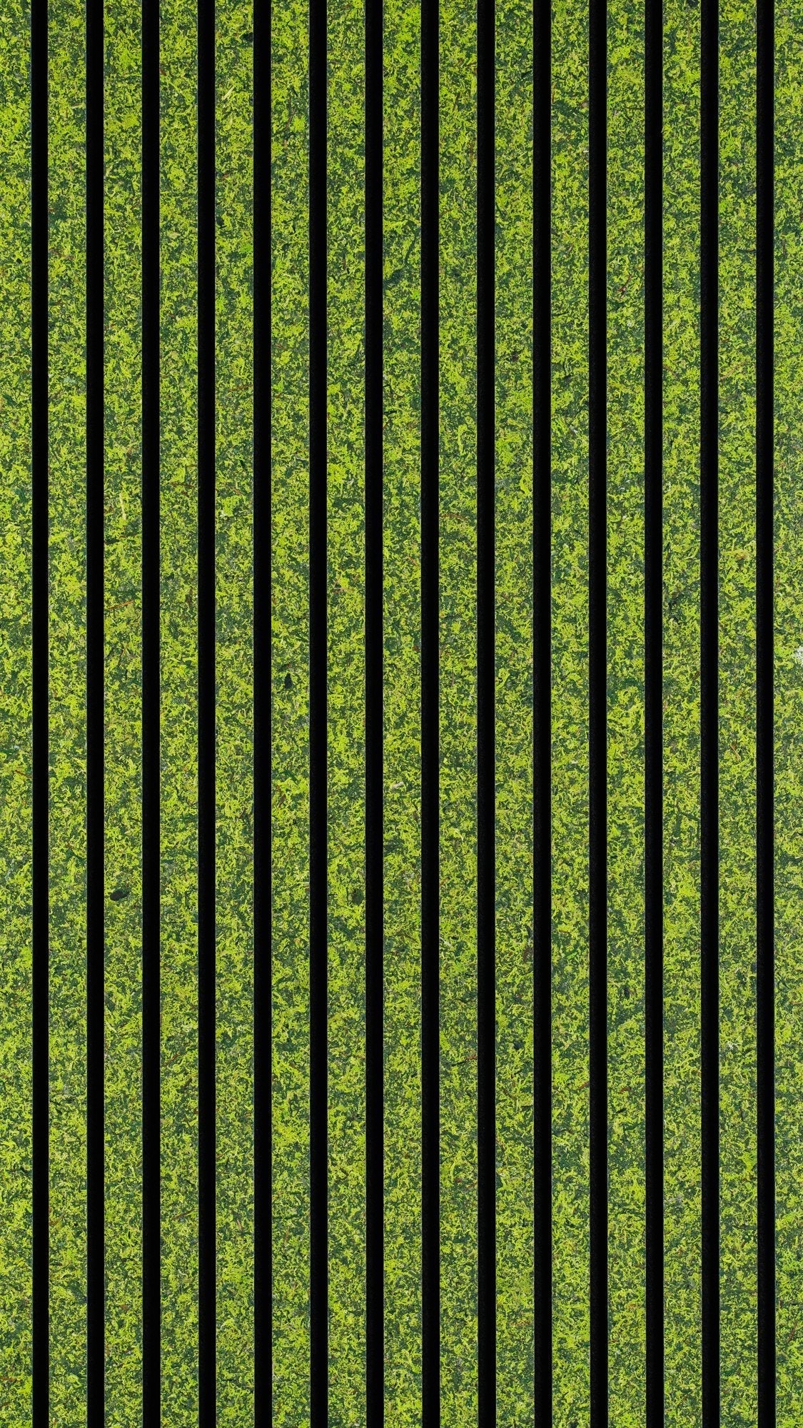 Organic Acoustic Panels