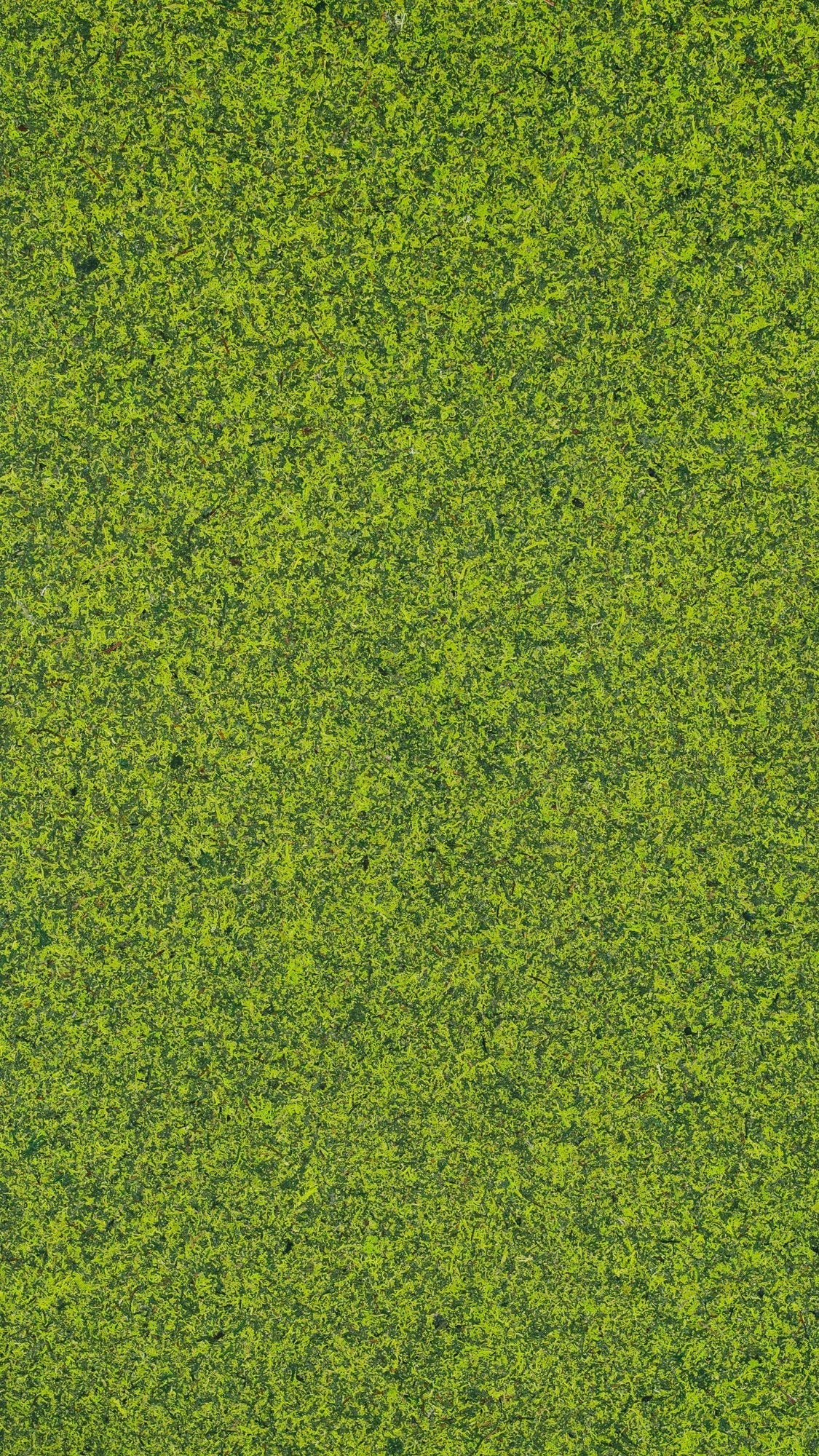 Organic Design Panels
