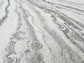 Arctic White