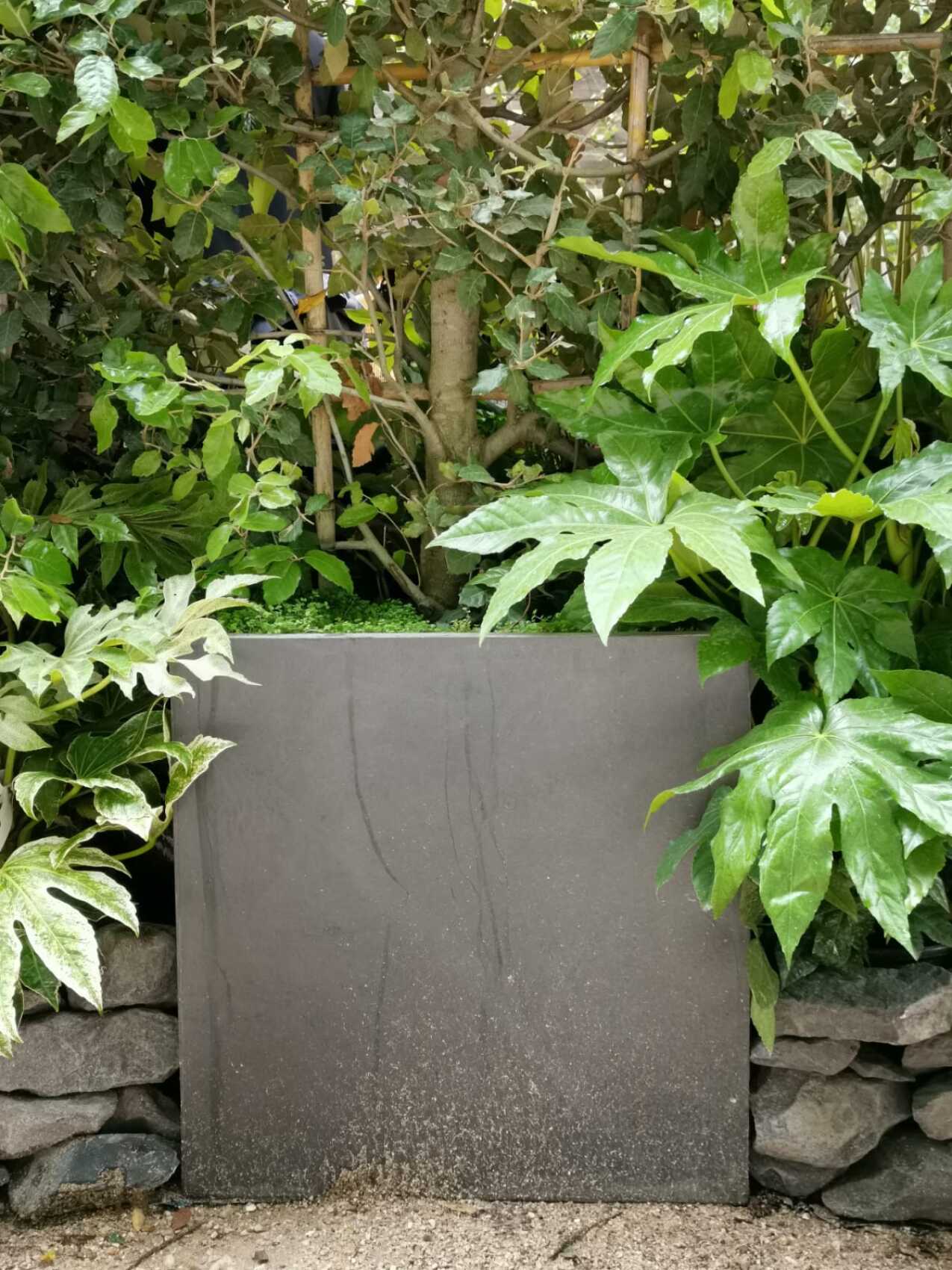 Terra Noir Horizontal