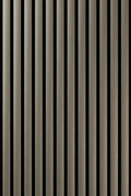 Alu Brushed Champagne