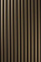 Alu Plain Polished Goldtone