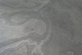 California Grey