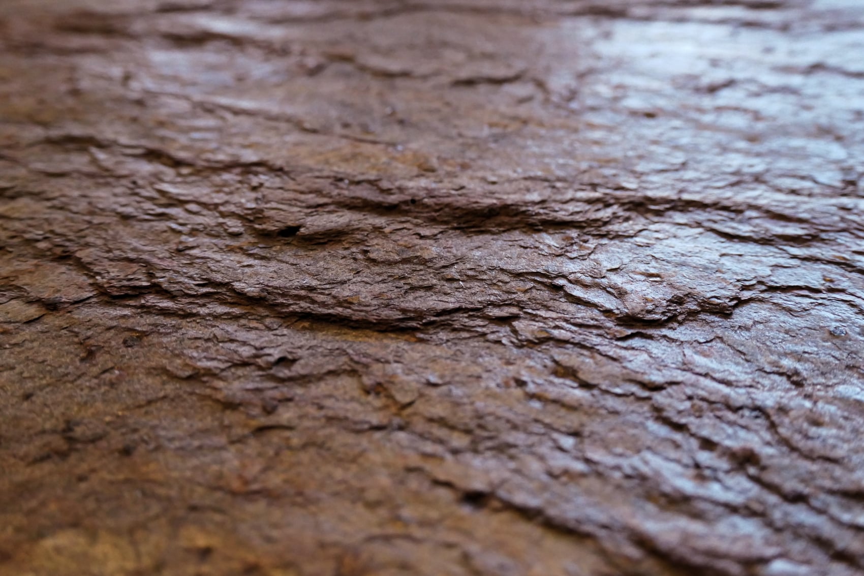 Cobre