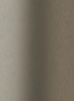 Alu Brushed Champagne