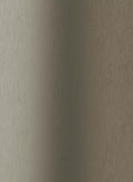 Alu Brushed Champagne