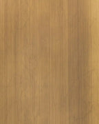 Panneau design en métal Matte Oxibronze, vue rapprochée de la surface
