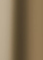 Alu Plain Polished Goldtone