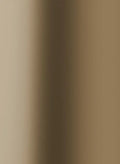 Alu Plain Polished Goldtone