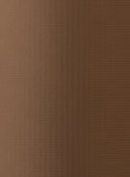 Alu Plex Copper