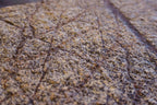 Rainforest Brown
