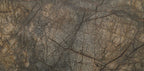 Rainforest Brown