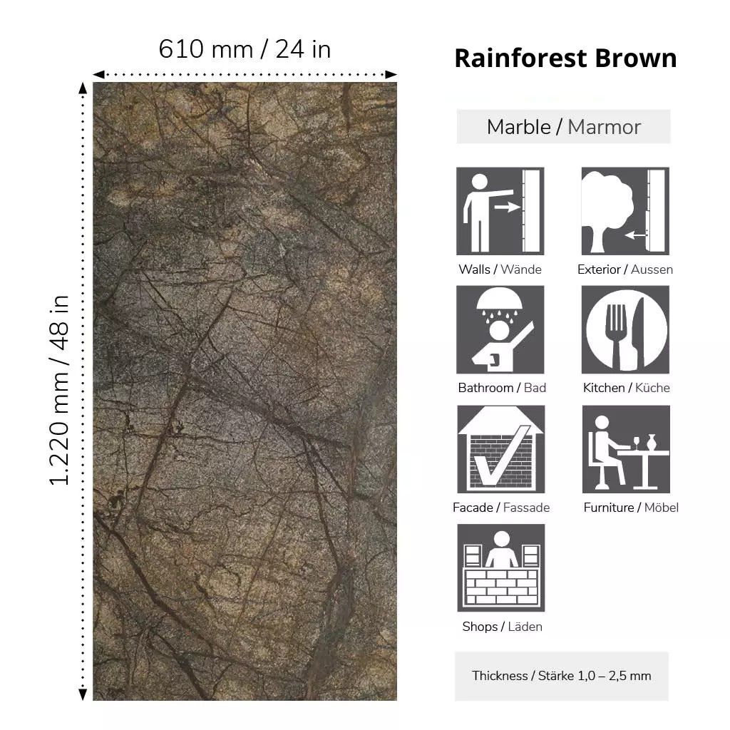 Rainforest Brown