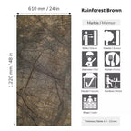 Rainforest Brown