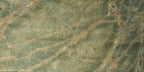 Rainforest Green