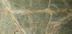 Rainforest Green