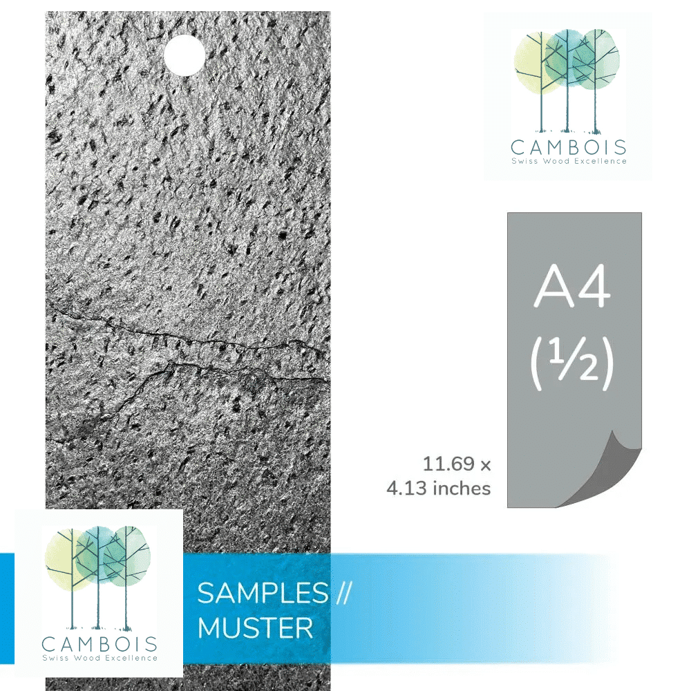 Échantillon de placage de pierre naturelle Silver Grey – Cambois