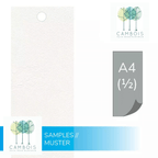 Échantillon de placage de pierre naturelle White Sparkle – Cambois