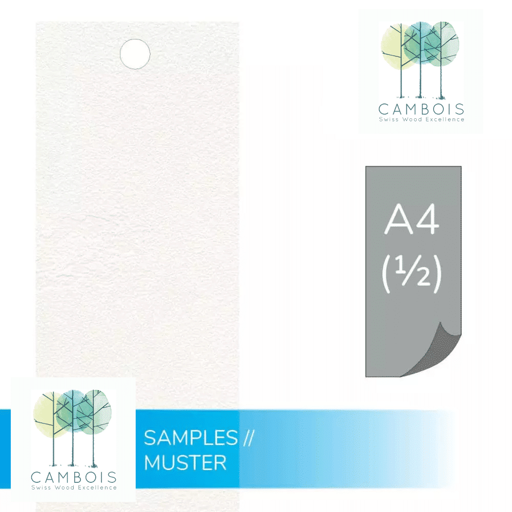 Échantillon de placage de pierre naturelle White Sparkle – Cambois