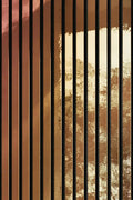 Alu Mirror Polished Coppertone
