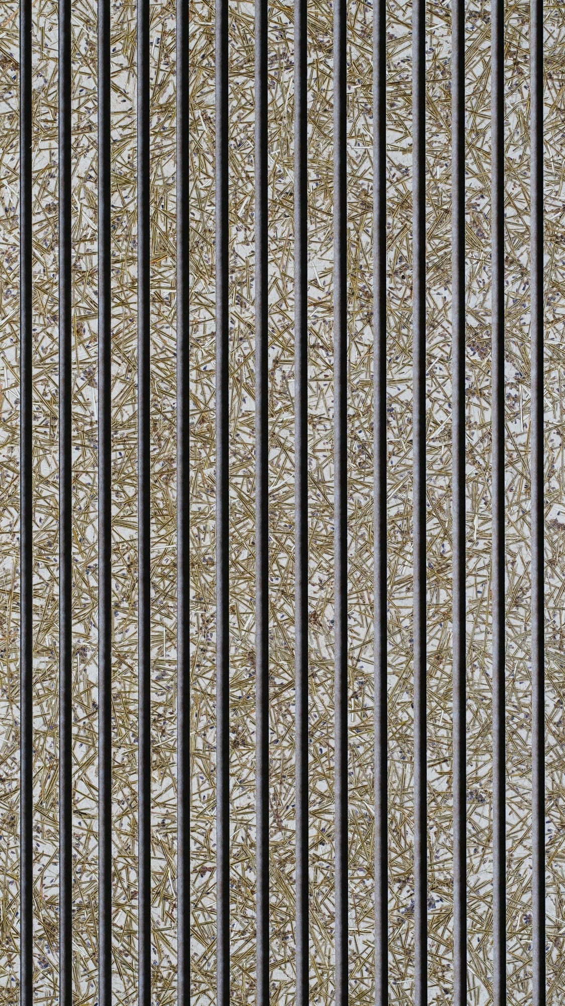 Lavender Medium