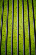 Panneau acoustique organique - Mousse Vert Clair