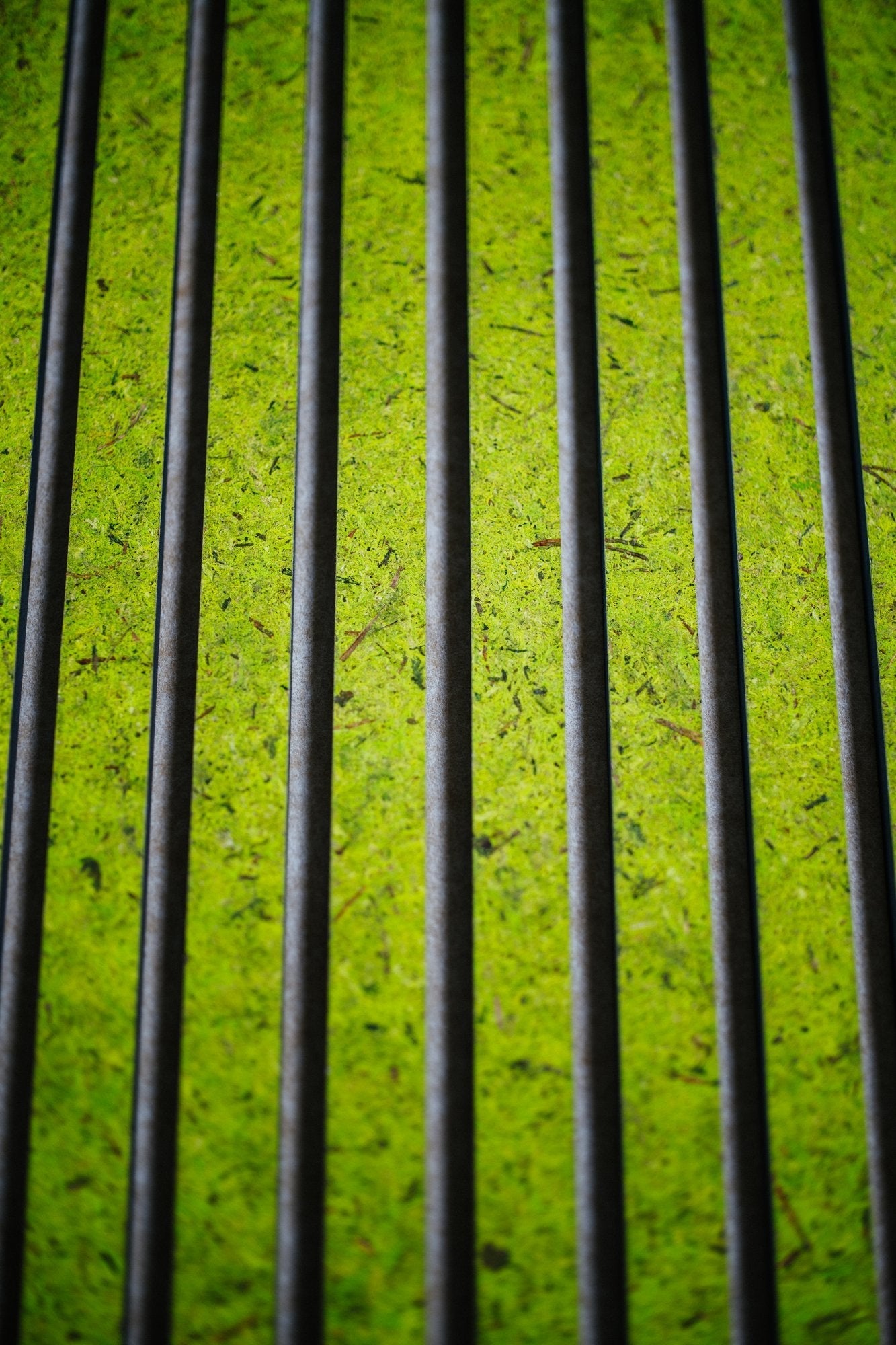 Panneau acoustique organique - Mousse Vert Clair