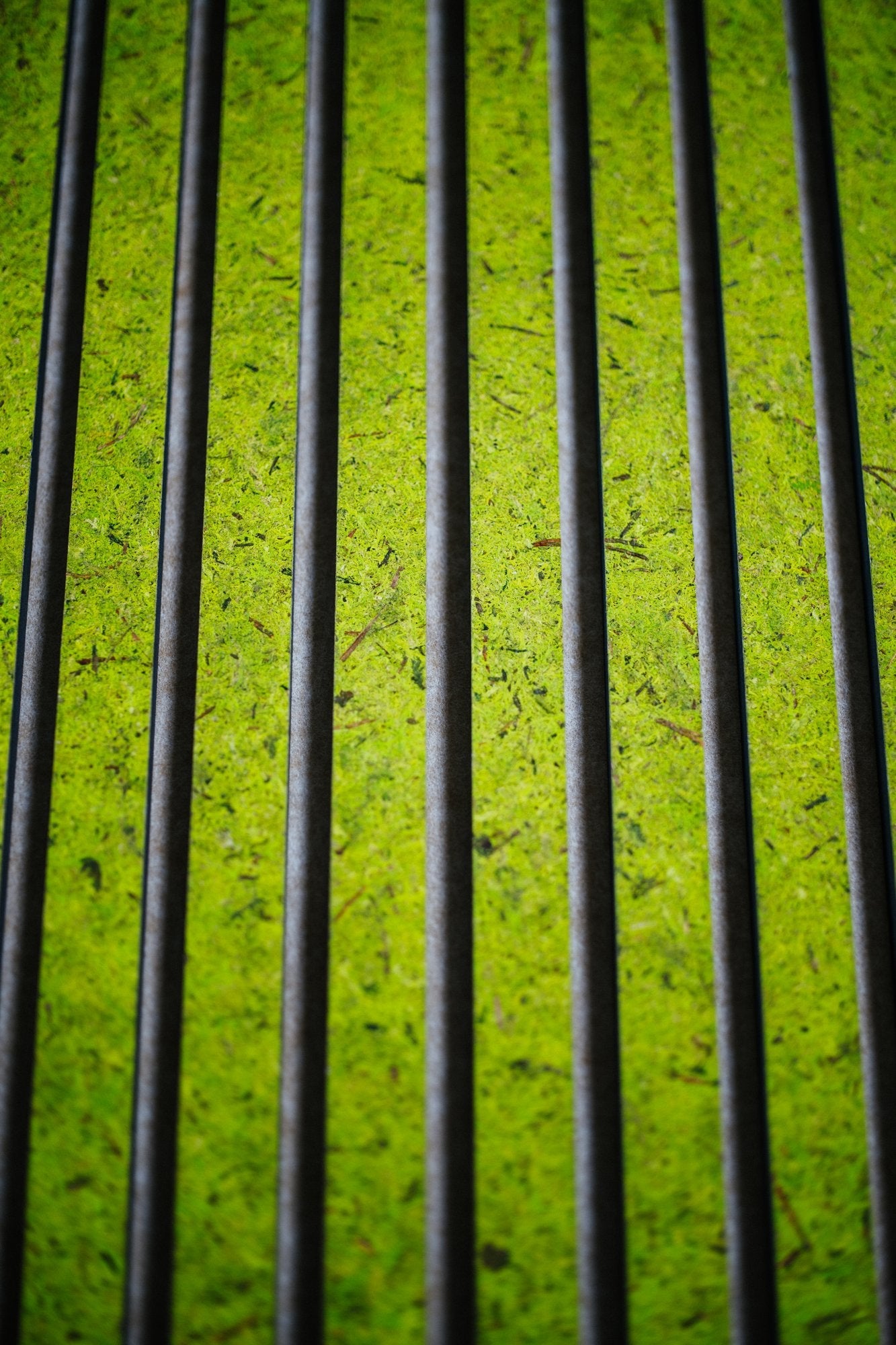 Moss Light Green