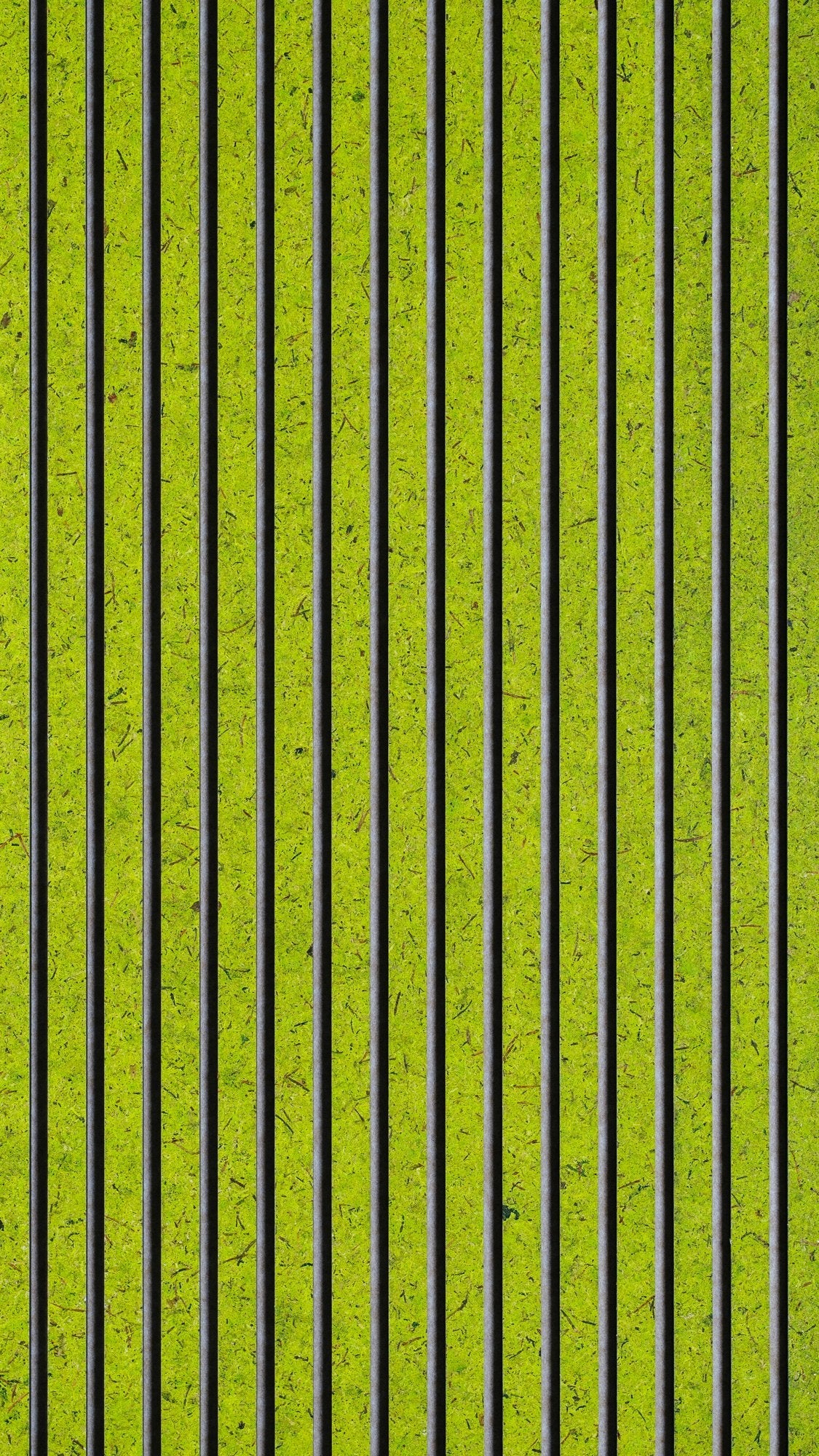 Moss Light Green