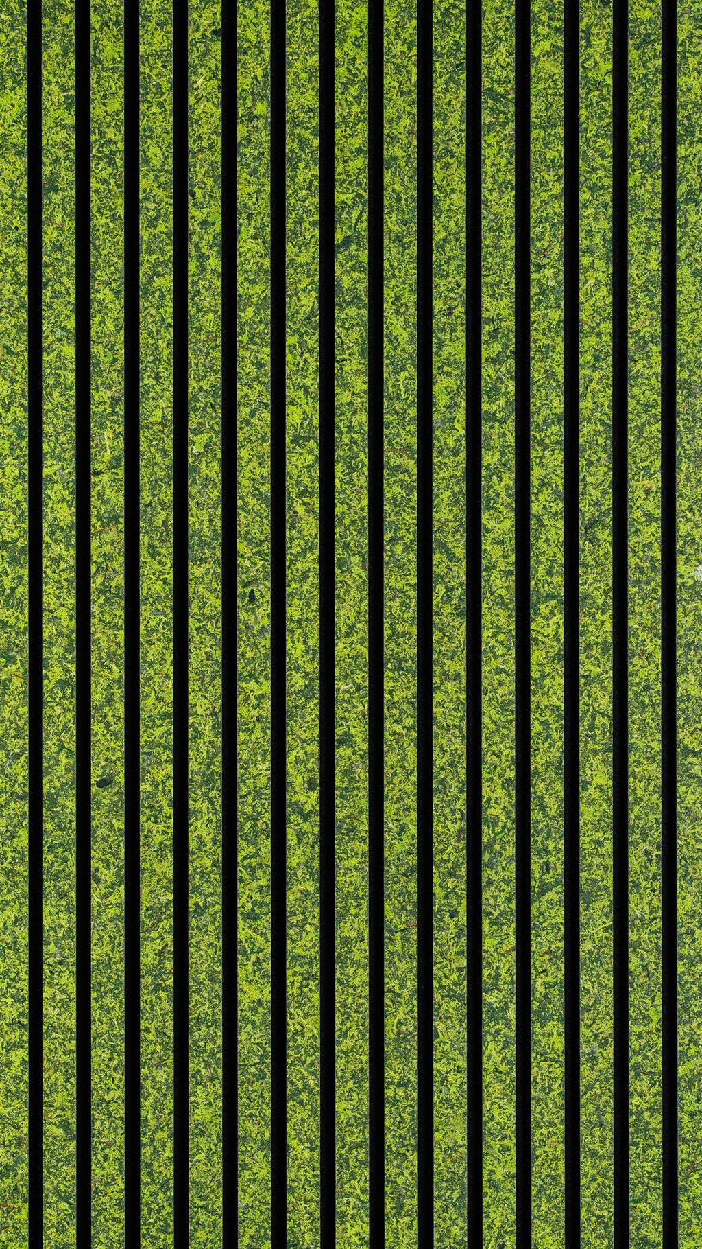 Moss Mix