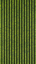 Moss Mix