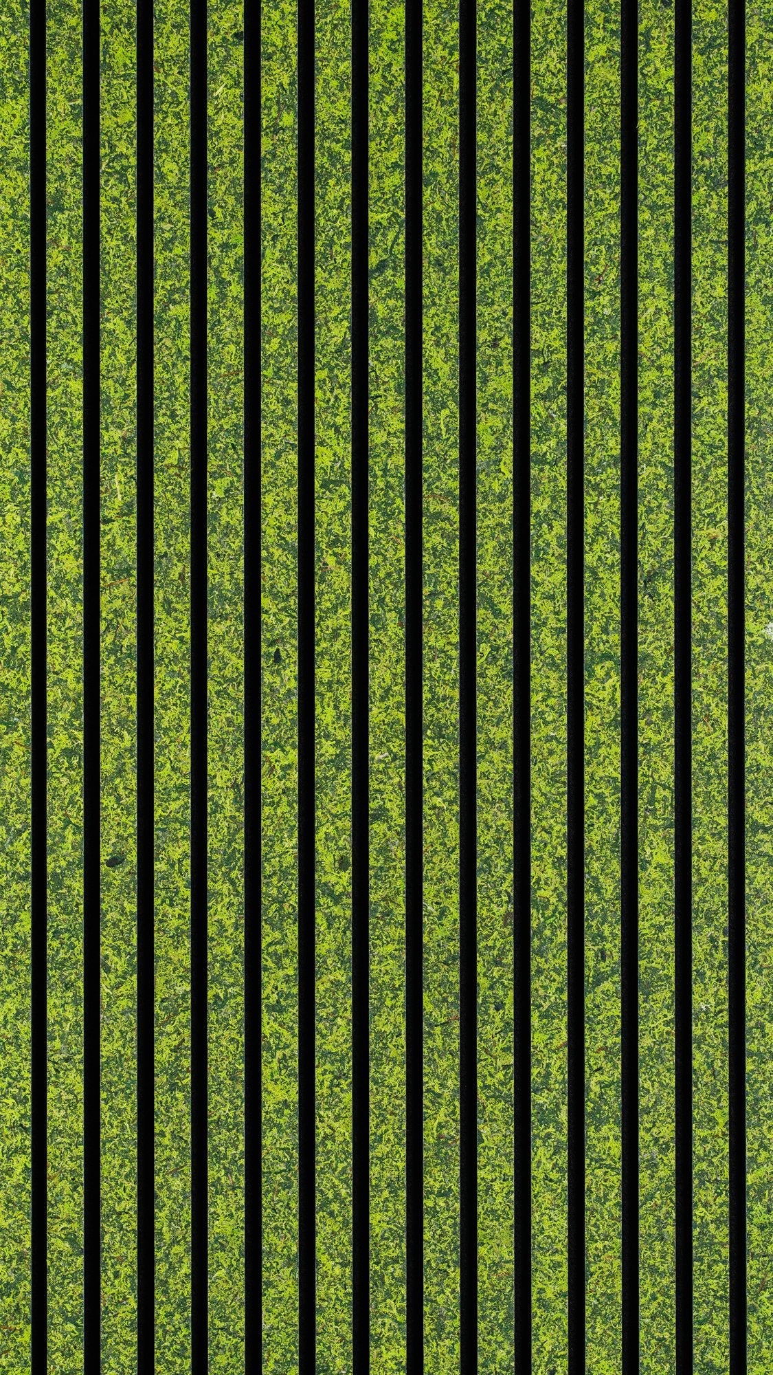 Moss Mix