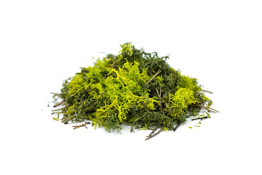 Moss Mix