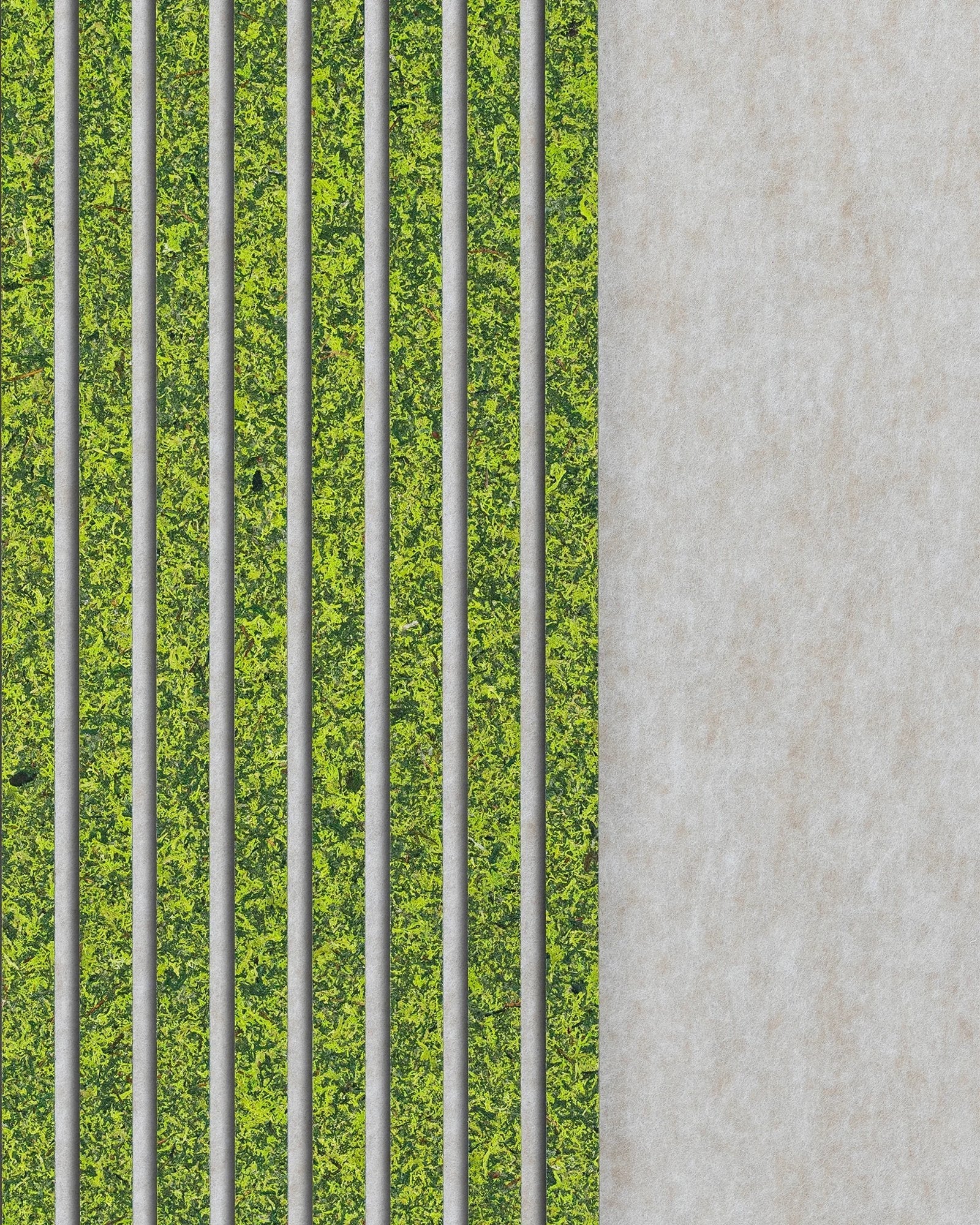 Moss Mix