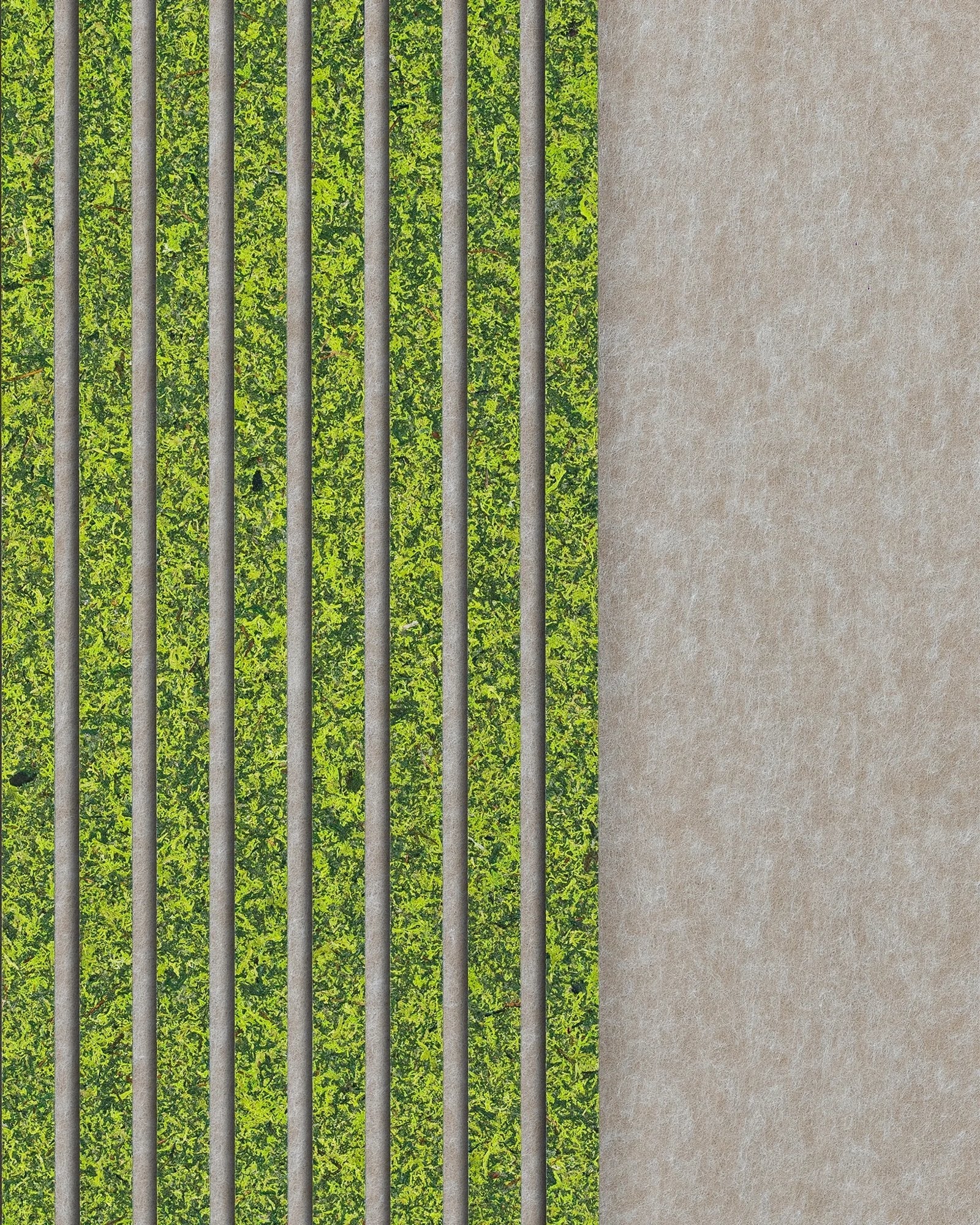 Moss Mix