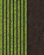 Moss Mix