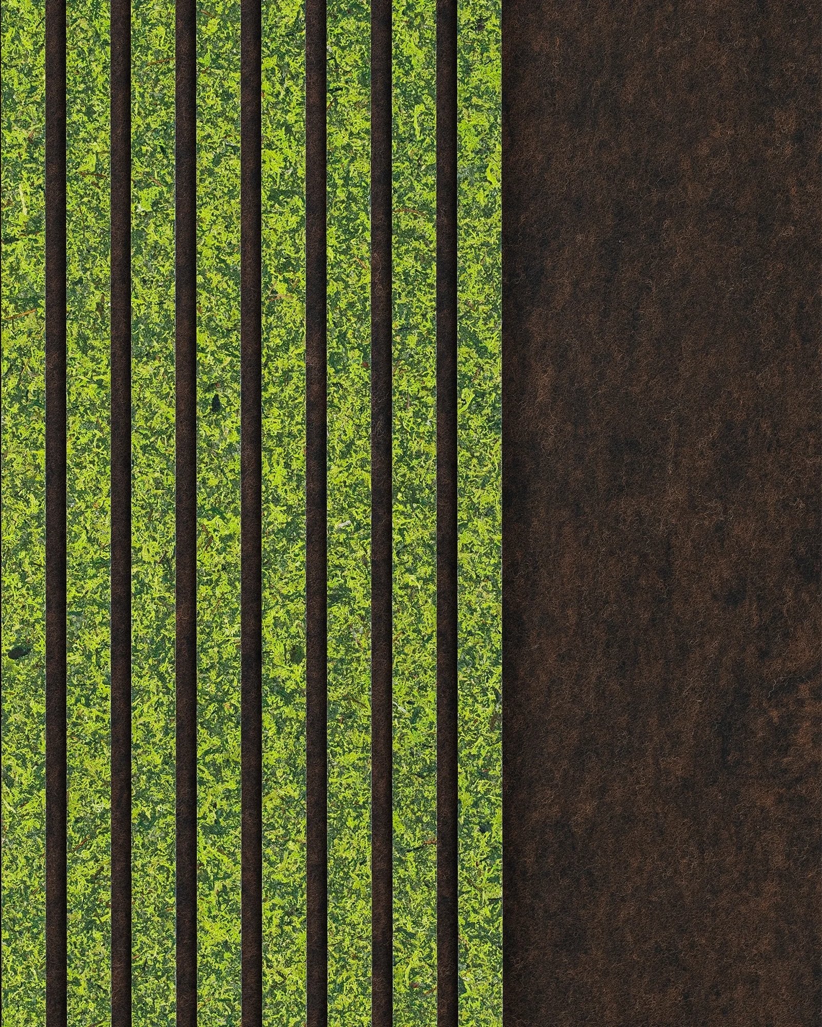 Moss Mix