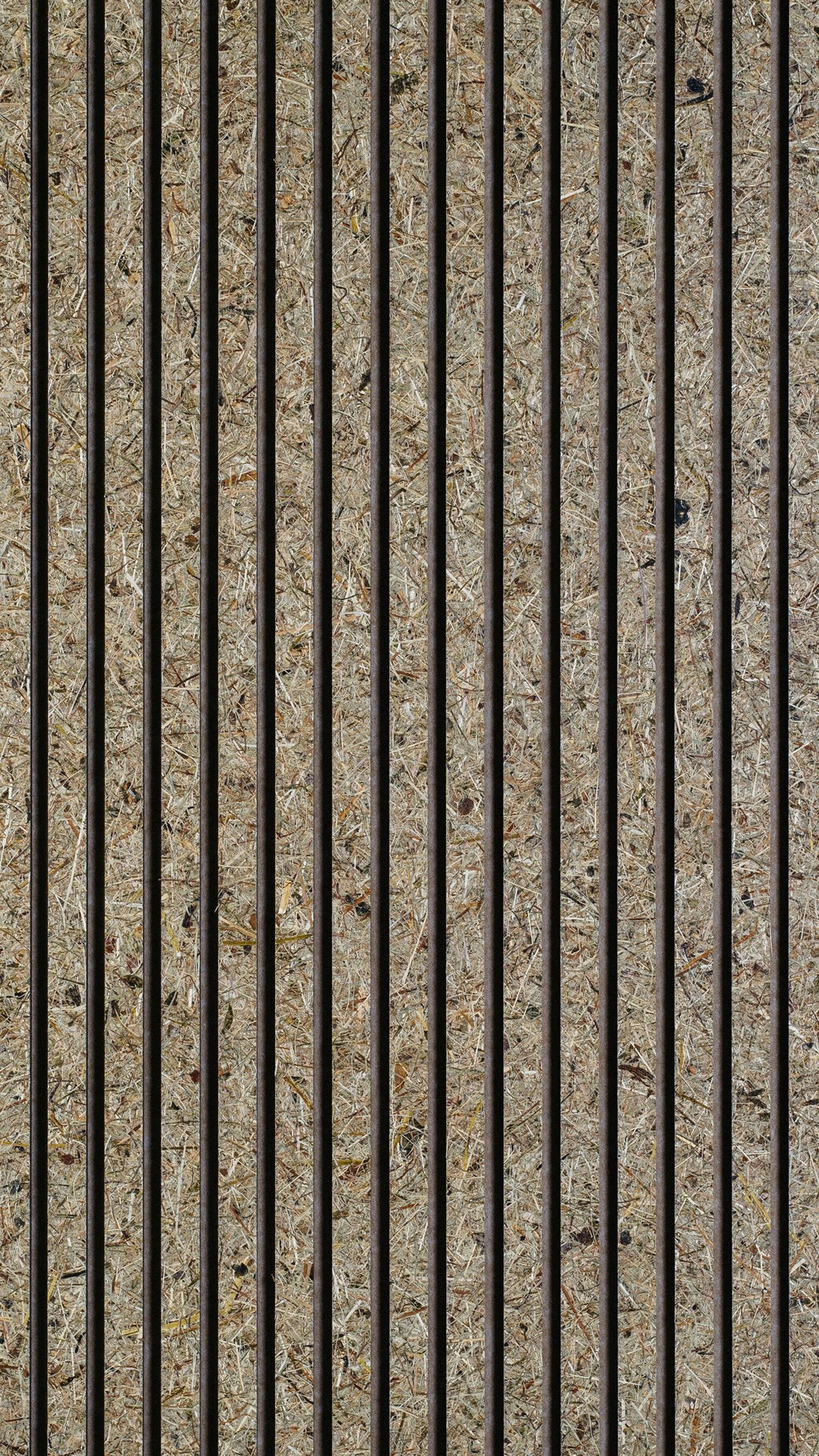 Wildspitze - détail