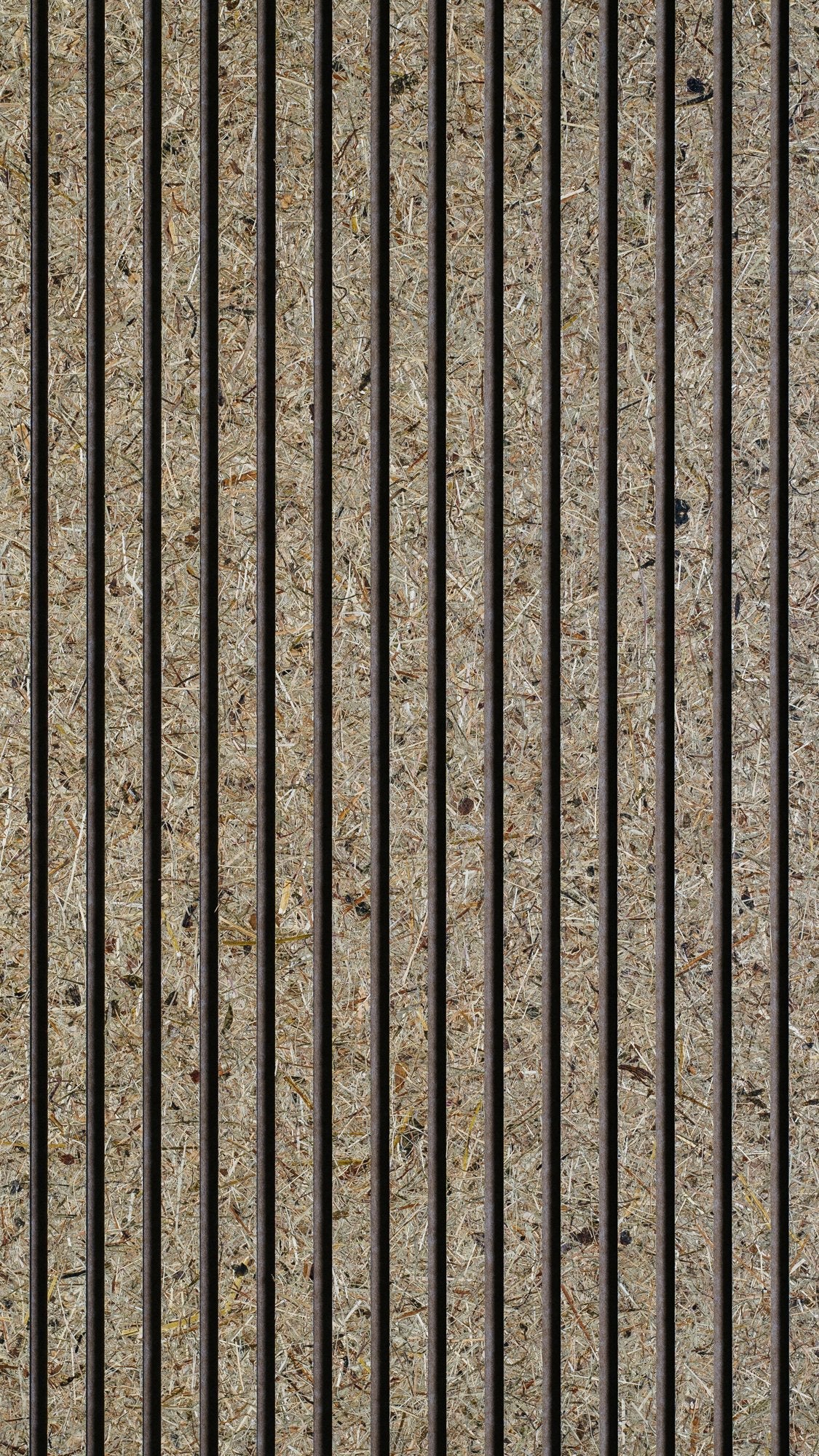Wildspitze - détail