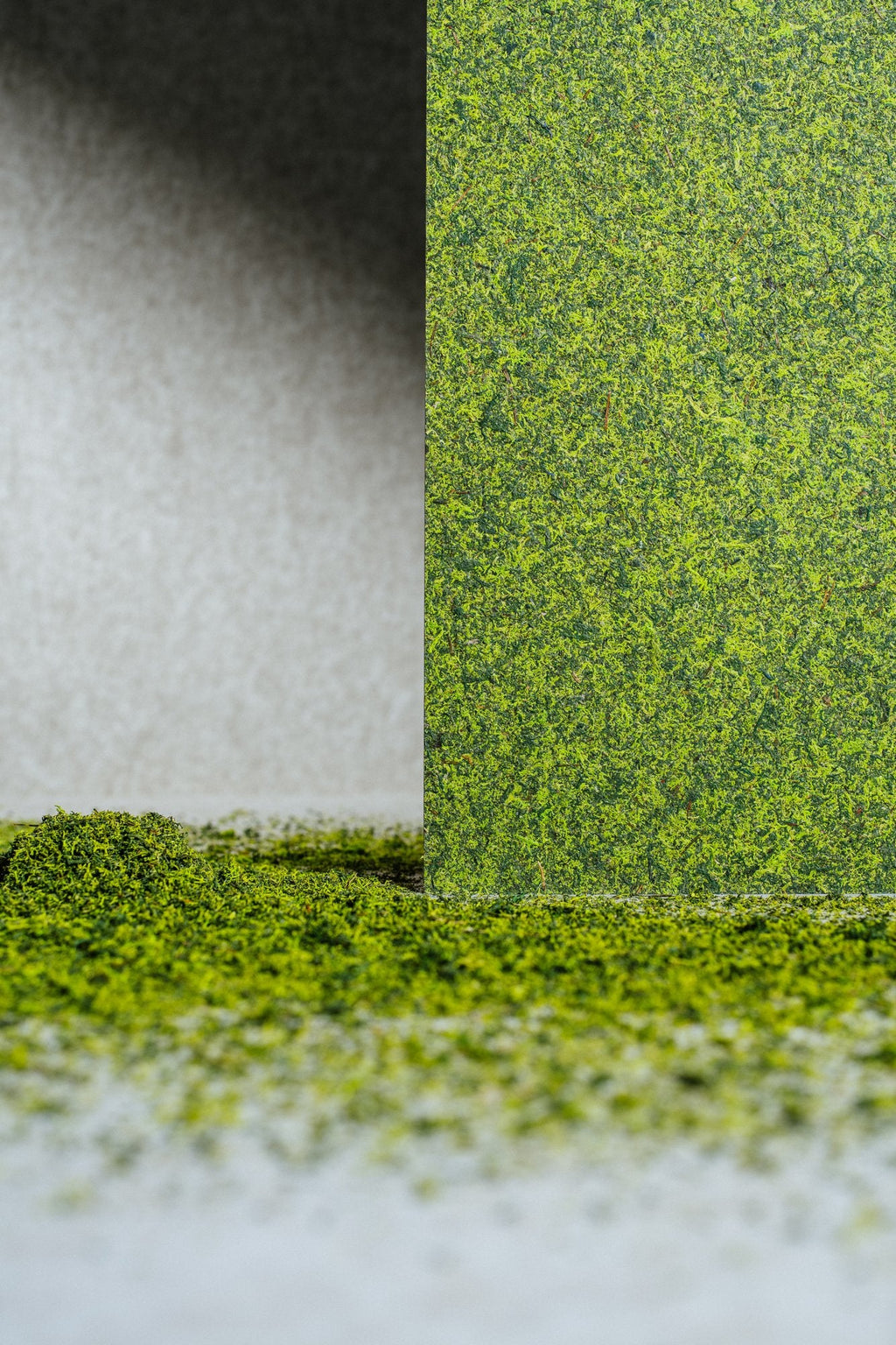 Moss Mix