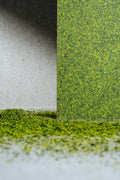 Moss Mix