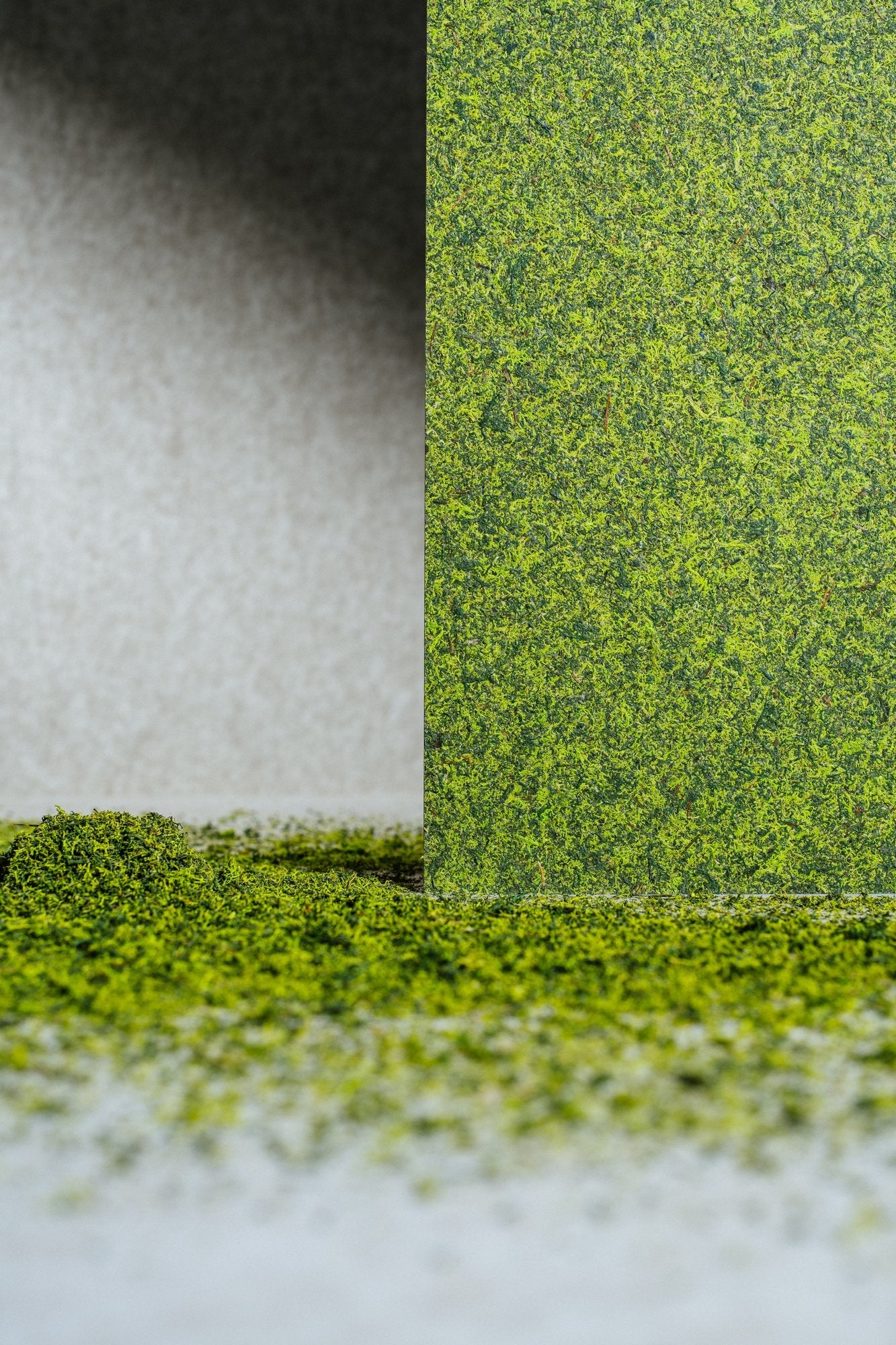 Moss Mix