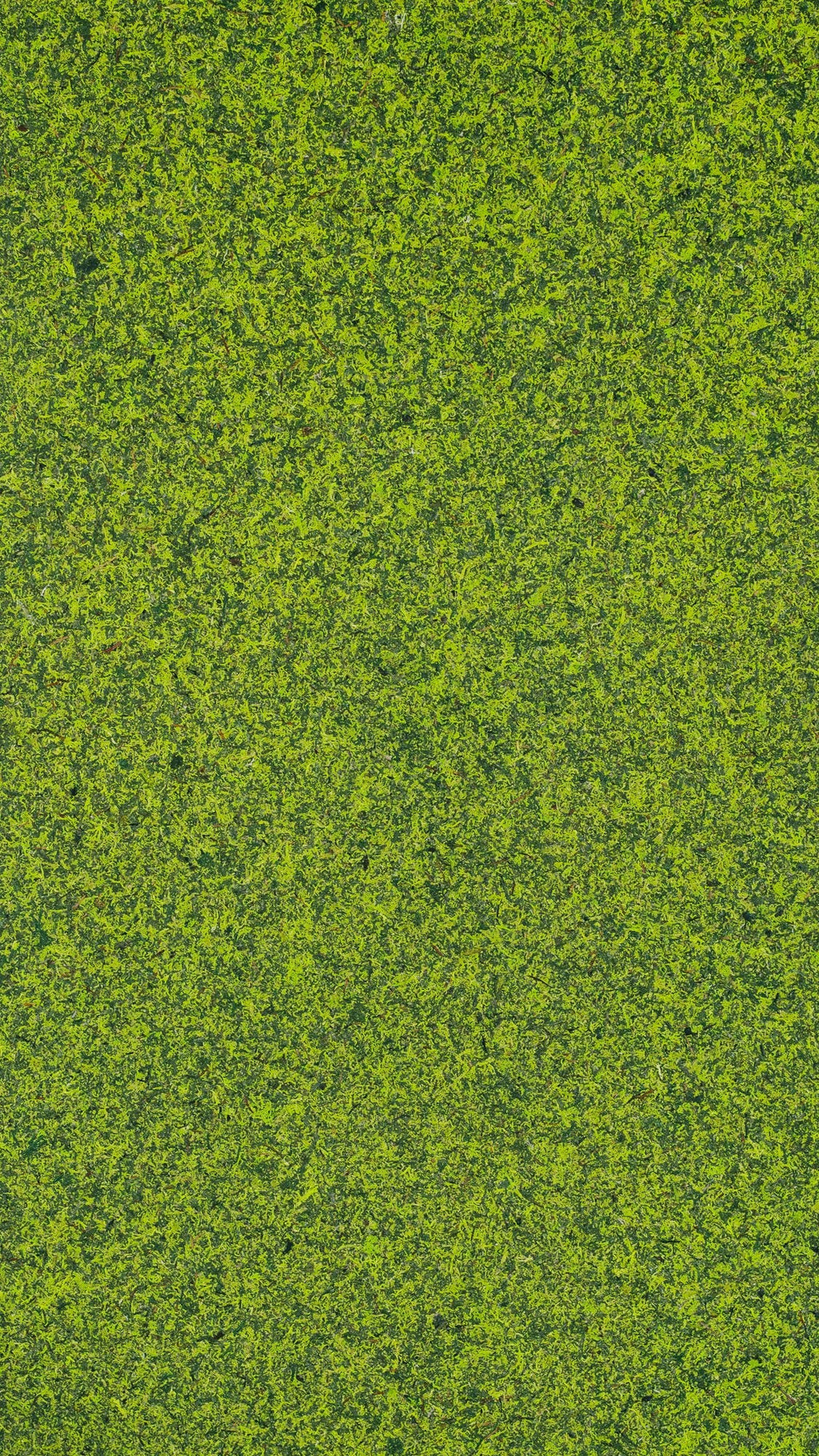 Moss Mix
